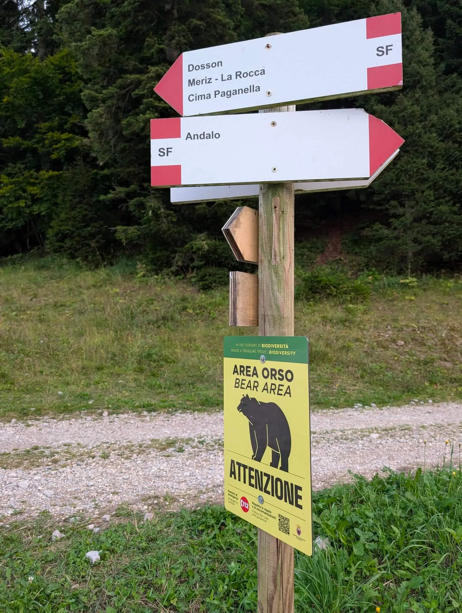 Mały niedźwiadek